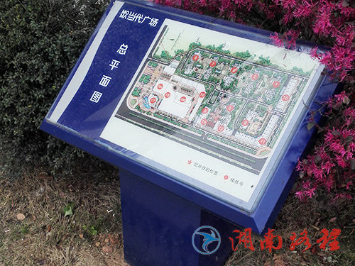 房地产（平面图）